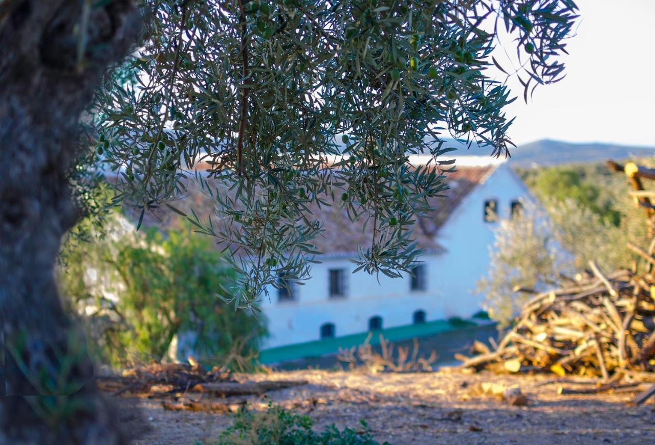 Villa Cortijo Alzamigaja à Archidona Extérieur photo