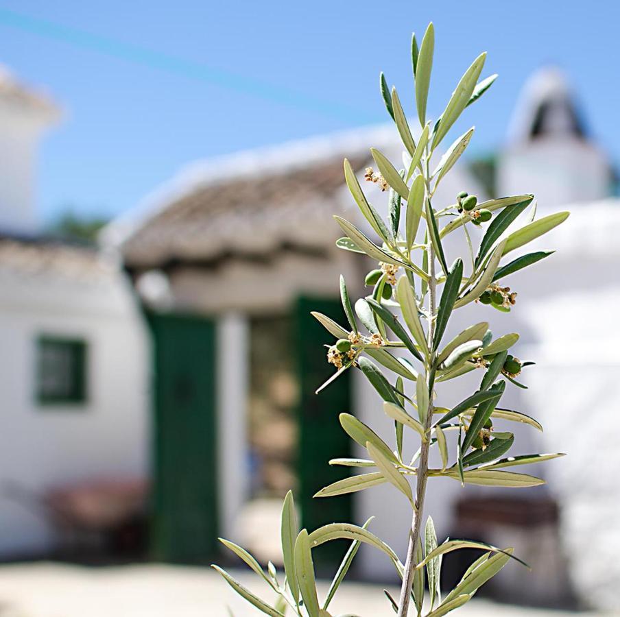 Villa Cortijo Alzamigaja à Archidona Extérieur photo